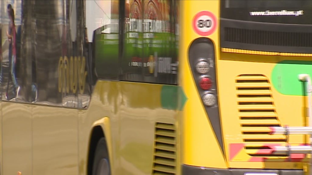 Novos autocarros em Viseu