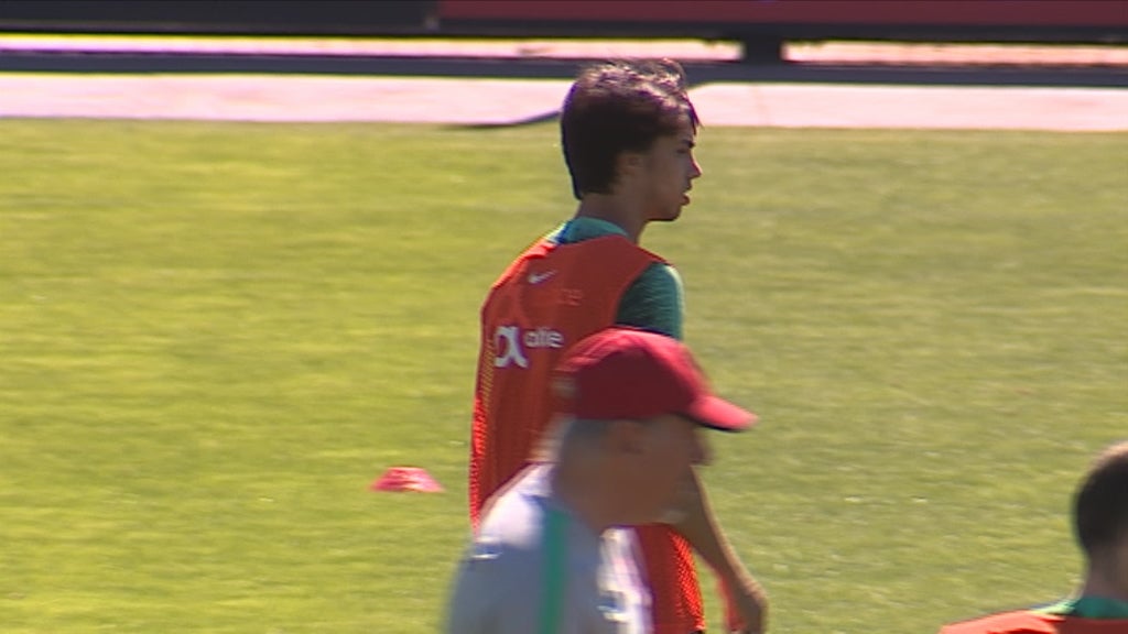 Declarações de João Moutinho