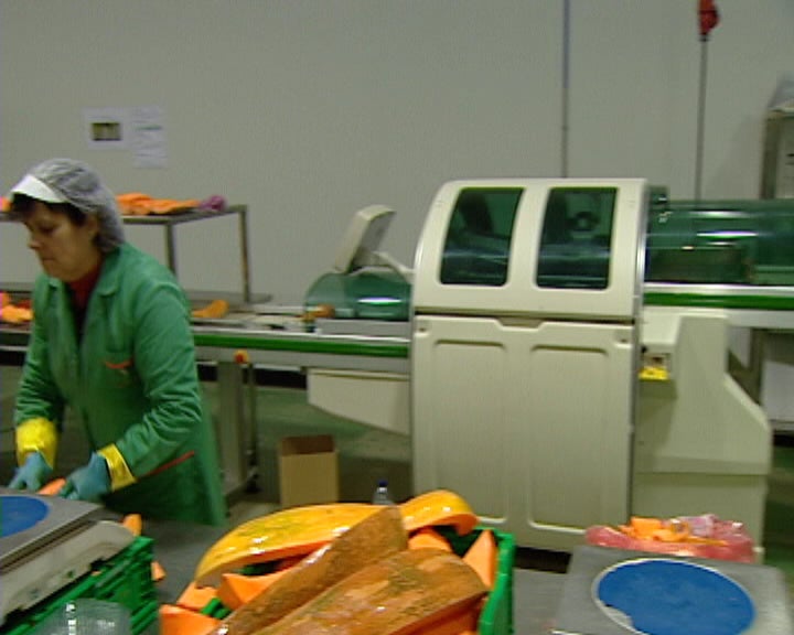 Empresa “HortaPronta”