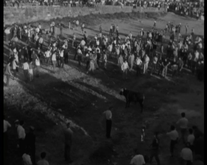 Corrida da Vaca de Cordas