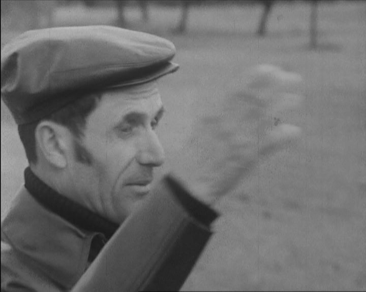 União Cooperativa Seara Vermelha e reforma agrária