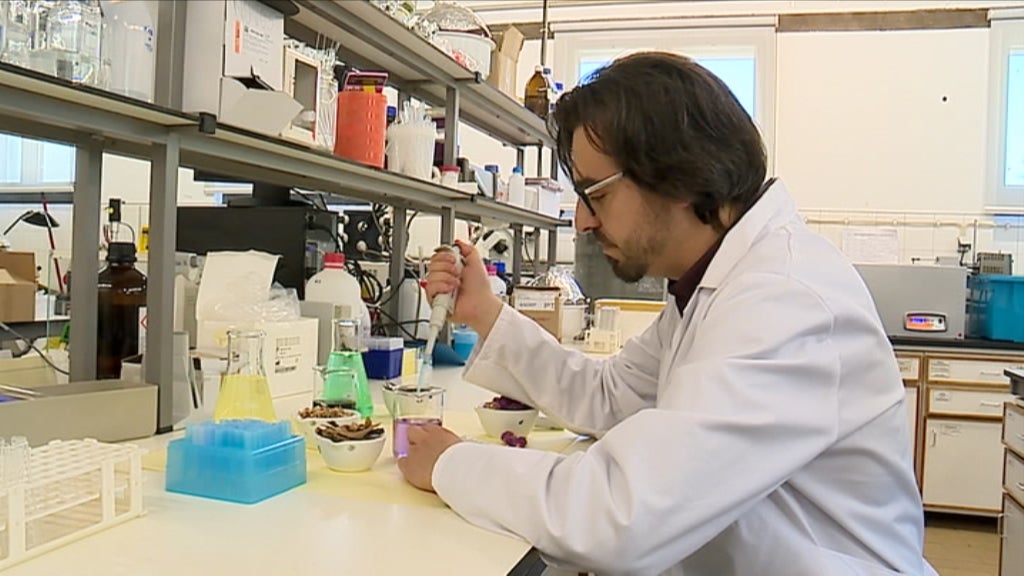 Dívidas a instituições do ensino superior