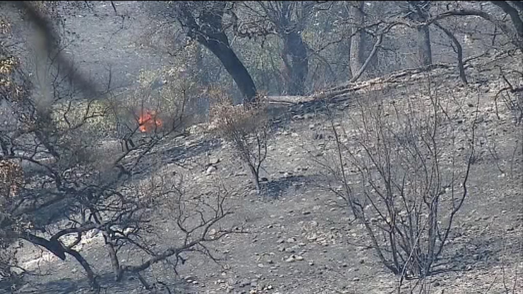Incêndio florestal em Tramagal