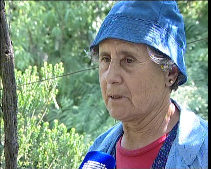 Mau tempo provoca estragos na agricultura