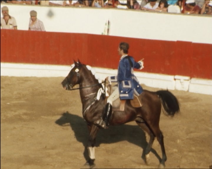 Corrida de Touros nas Caldas da Rainha