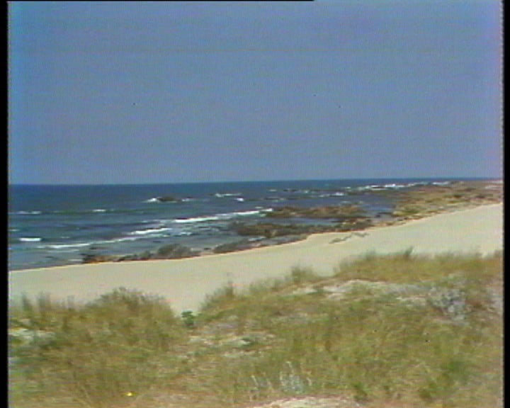 Projecto de centro de piscicultura industrial