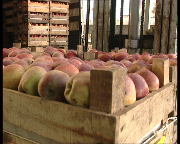 I Coloquio Nacional da Maçã-Bravo-de-Esmolfe