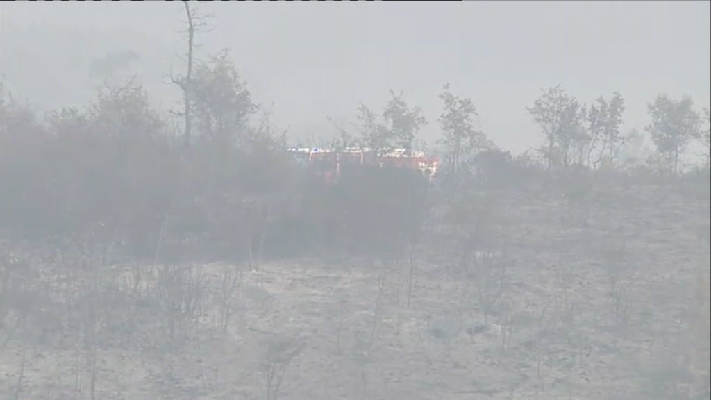 Incêndio florestal em Ourém