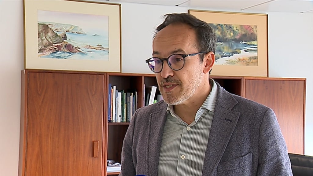 Urso-pardo em Montesinho