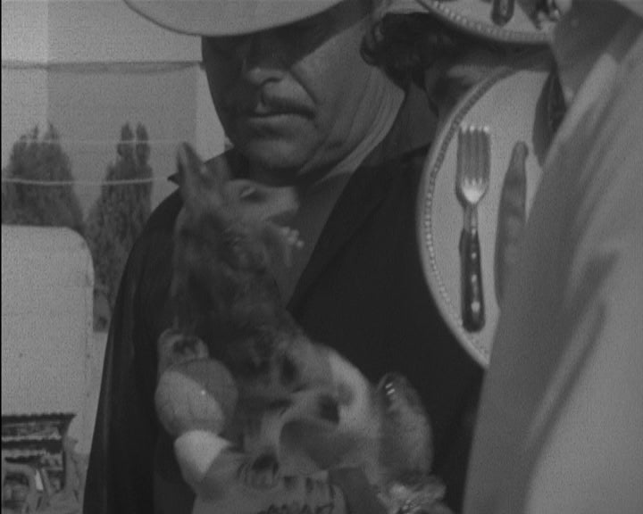 Festa de São João em Almada