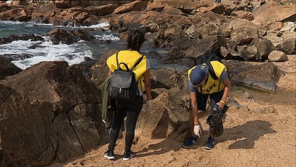 Limpeza da praia do Castelo do Queijo I