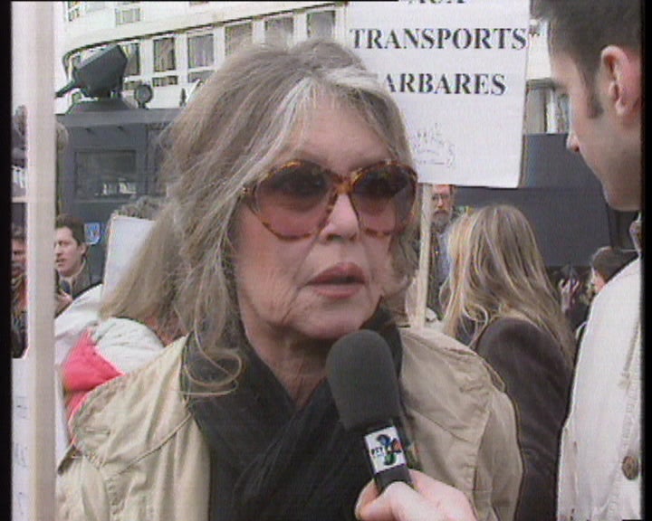 Manifestação a favor dos animais