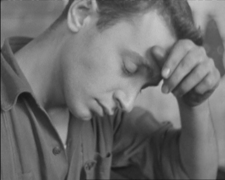 Gripe asiática em Portugal