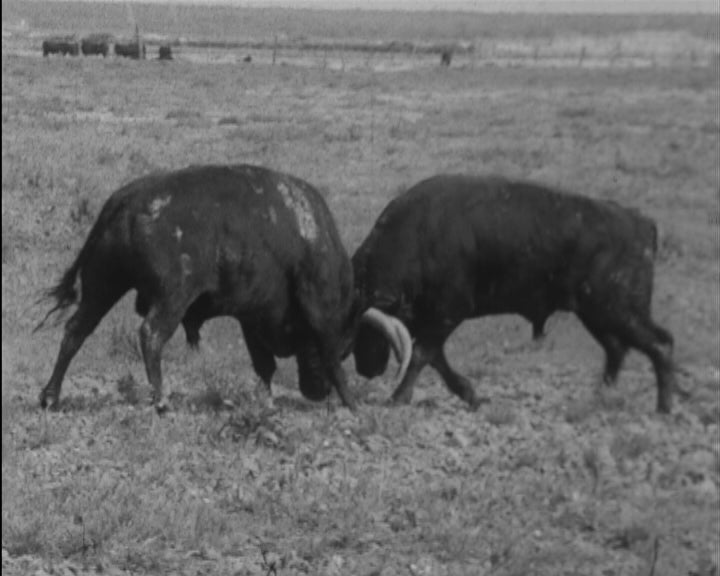 Participantes na 1ª corrida da temporada