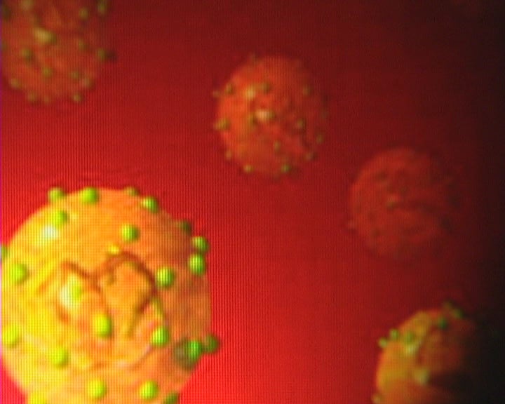 Dia Mundial das Hepatites