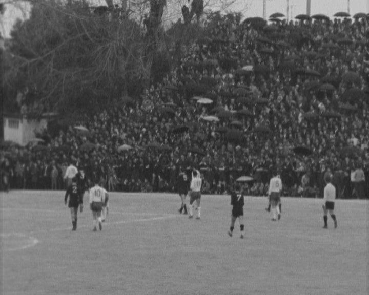 Futebol: Beira Mar vs Sporting