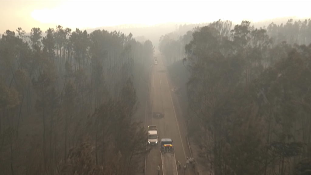 Processo dos incêndios de Pedrógão Grande