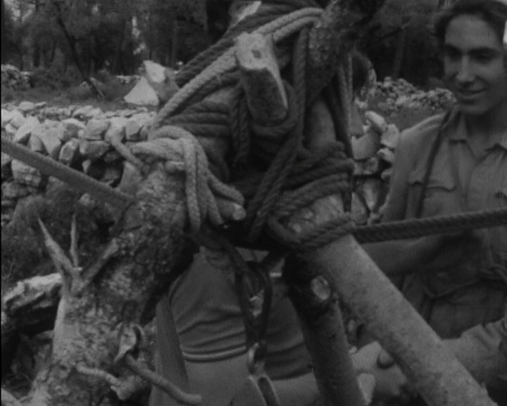 Espeleologia na Gruta do Covão em Minde