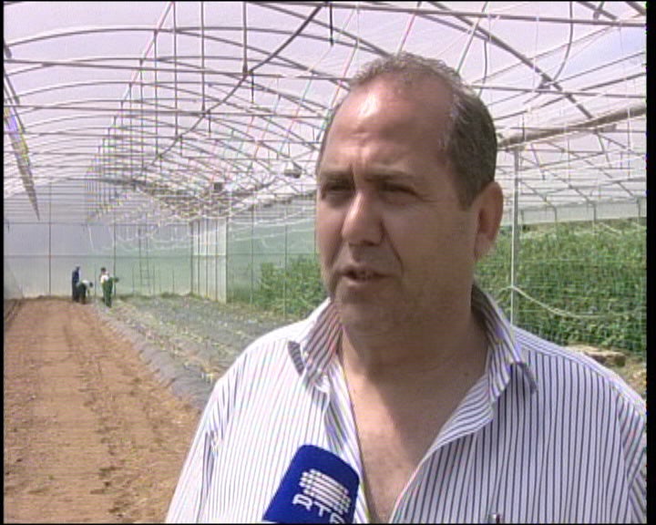 Empresa de Inserção