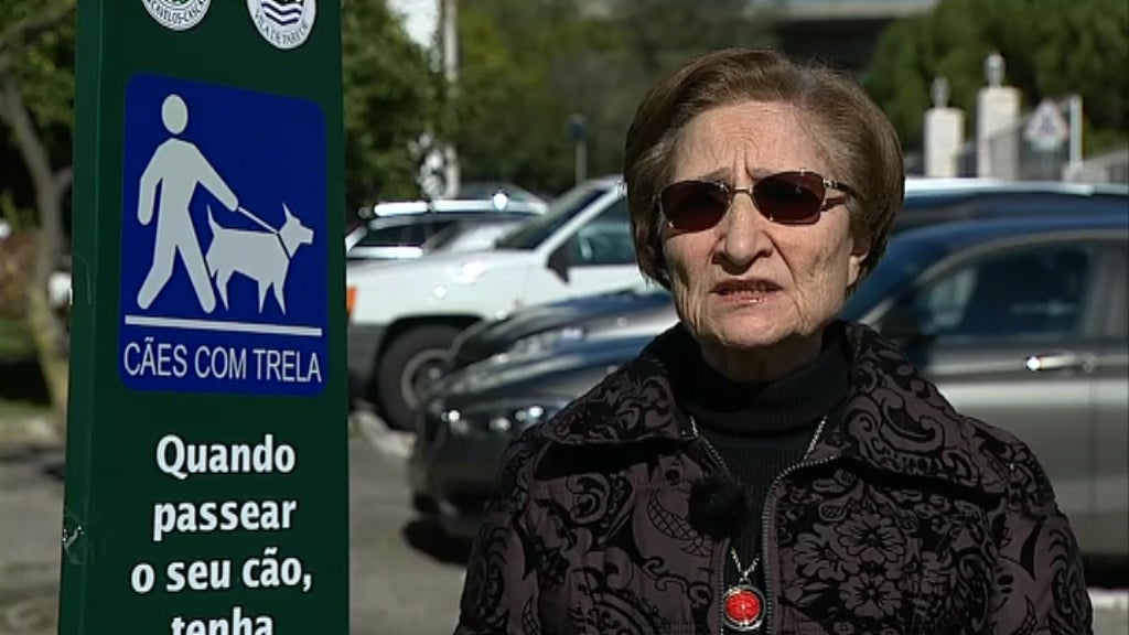 Entrada de animais em restaurantes