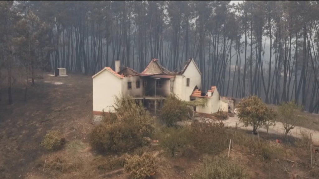 Fundos de apoio para todos os concelhos atingidos pelos incêndios