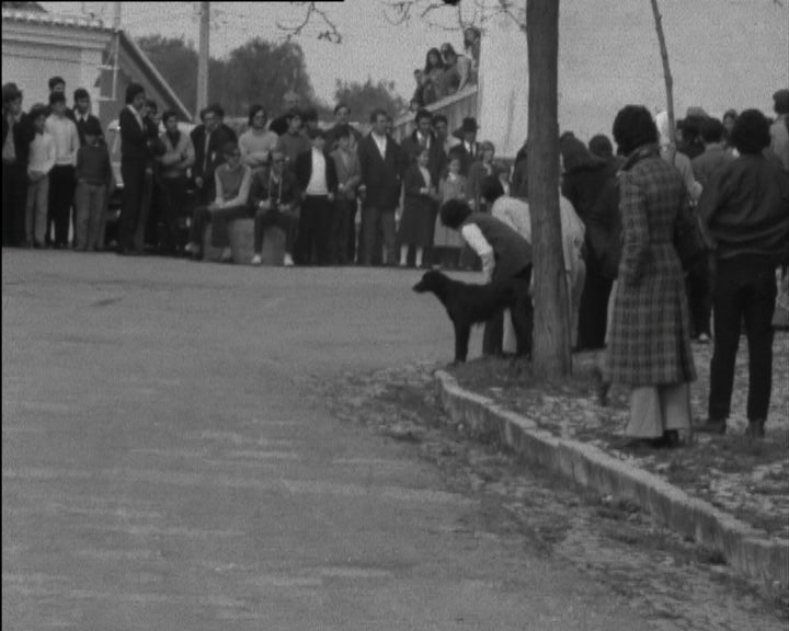 Automobilismo: Campeonato de Promoção
