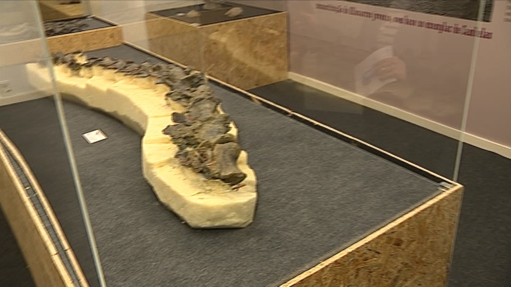 Exposição “T-Rex in town” no Pavilhão de Portugal