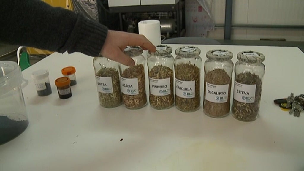 Biorrefinaria em Lagares da Beira