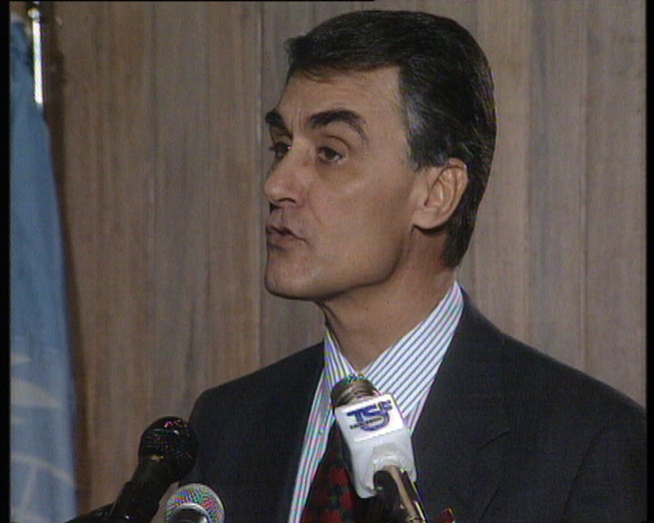 Ano Internacional da Família