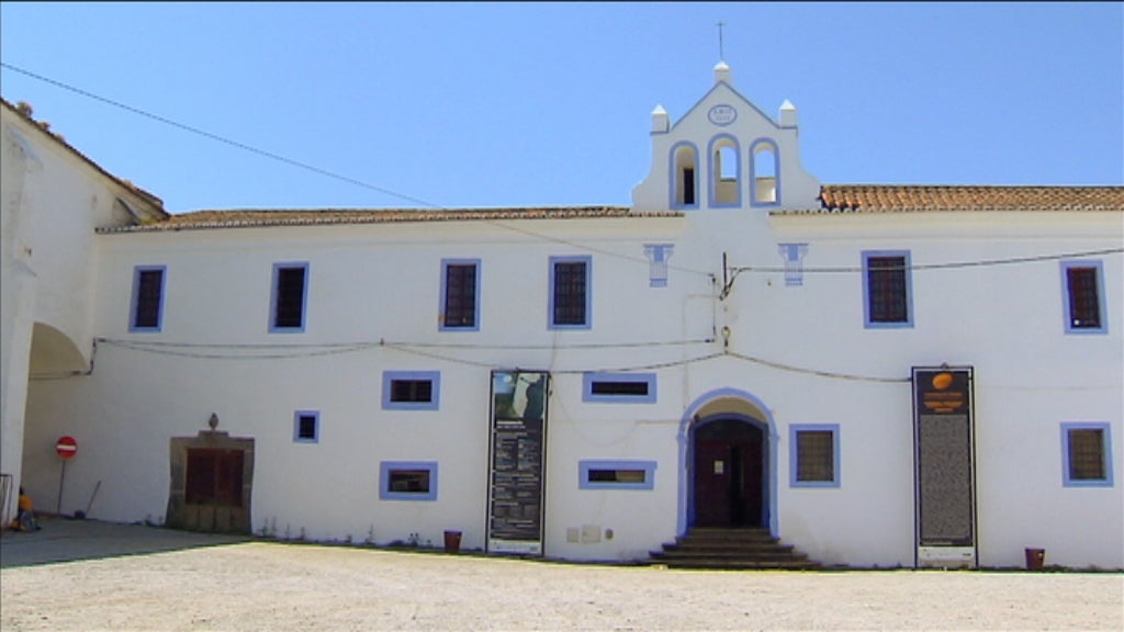 Montemor, Flor do Alentejo