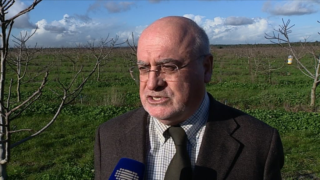 Investimento na agricultura