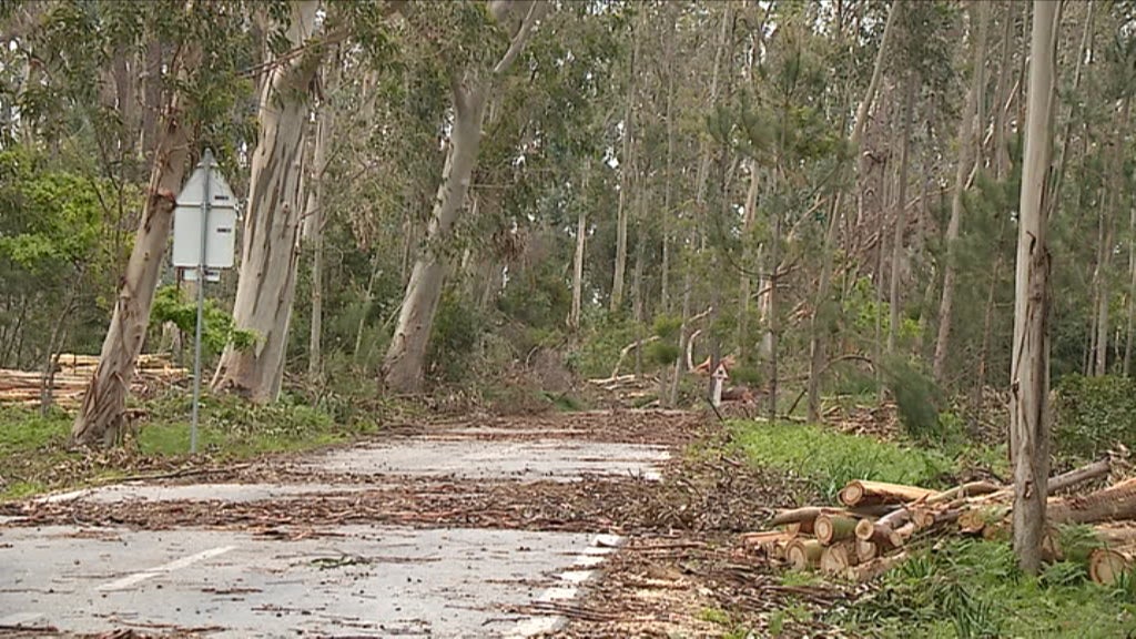 Serra da Boa Viagem depois do Leslie