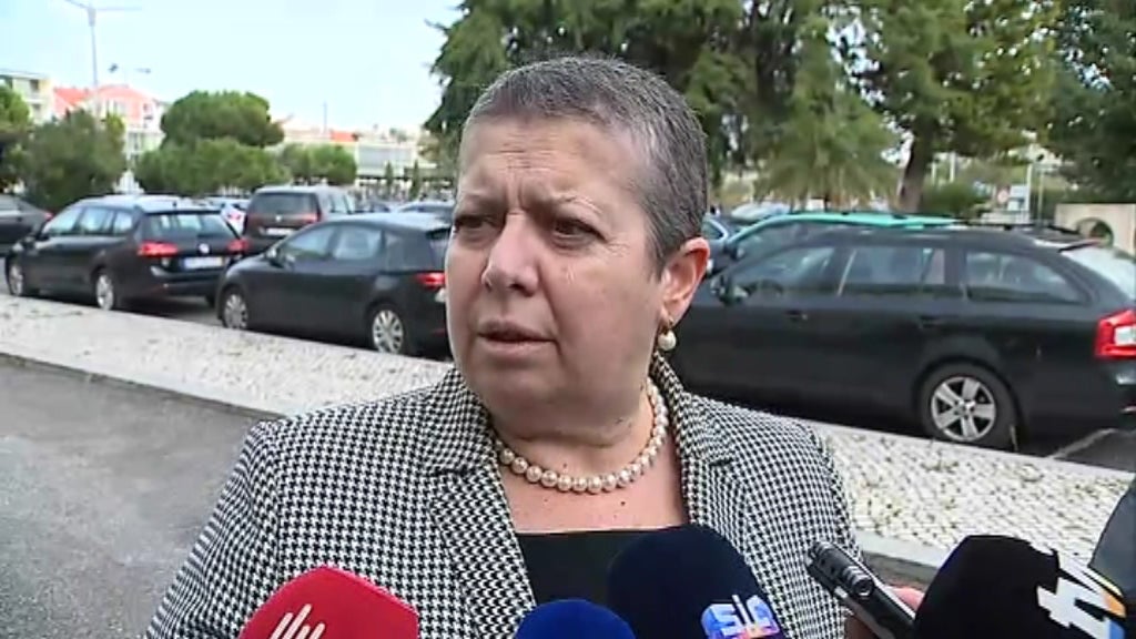 Declarações de Ana Paula Vitorino