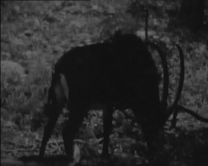 Conferência sobre a natureza de Angola