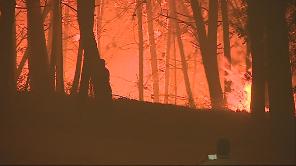 Incêndios florestais dominados