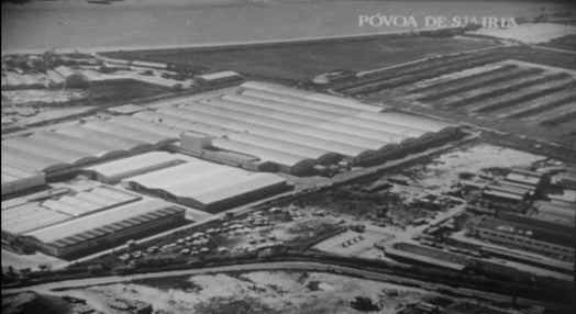 Feira Agrícola e Industrial de Vila Franca de Xira