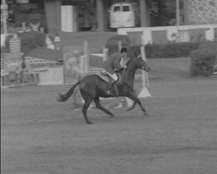 Hipismo: Sexto Concurso Hípico Internacional