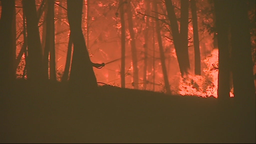 MP acusa proteção civil