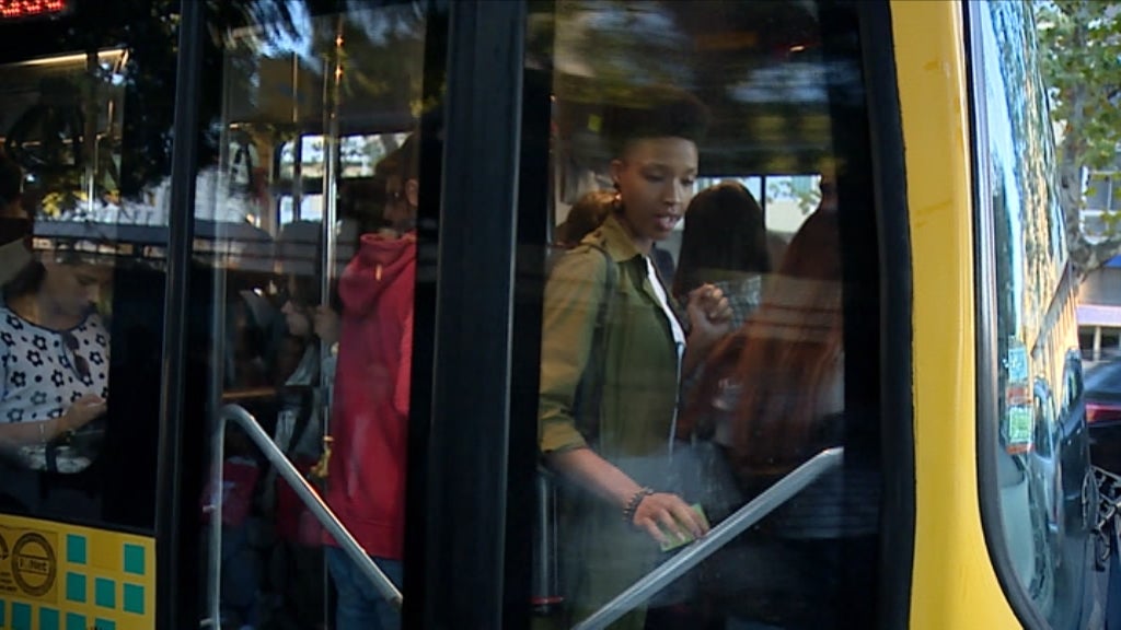 Novos passes sociais