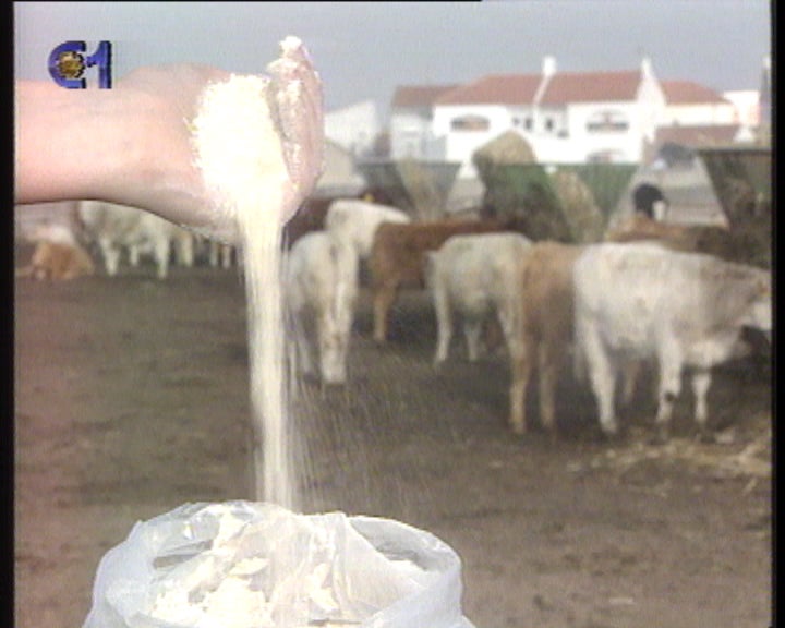 Carne imprópria para consumo