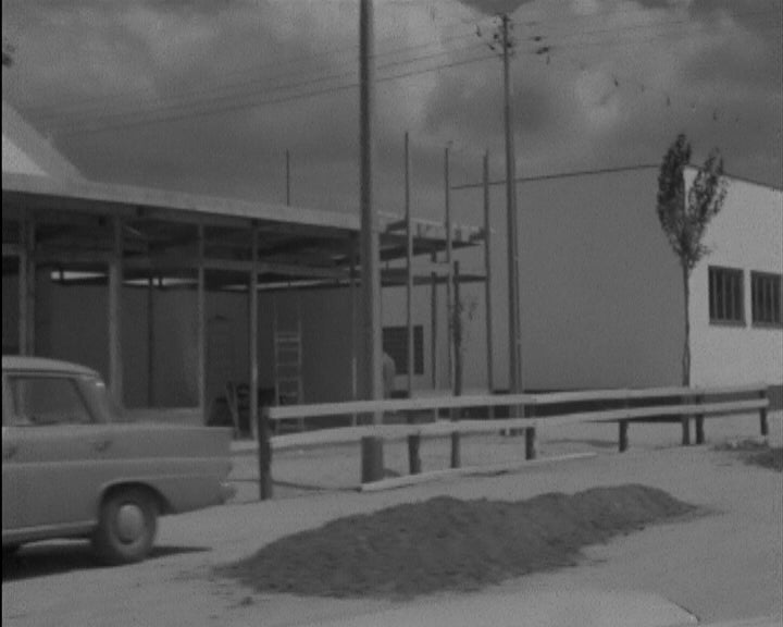 Feira Nacional de Agricultura e Feira do Ribatejo