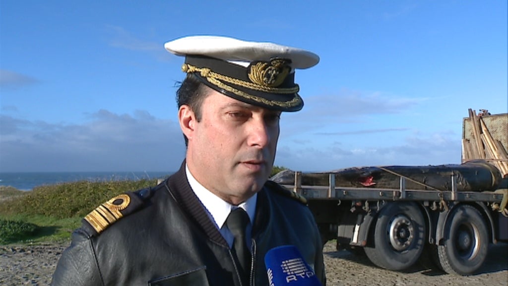 Baleia morta na praia de Paçô