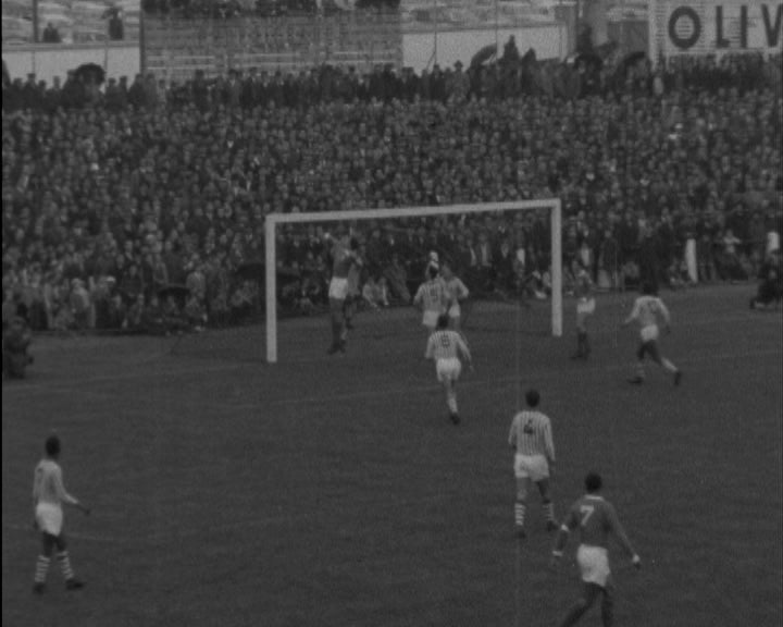 Futebol: Lusitano de Évora vs Benfica