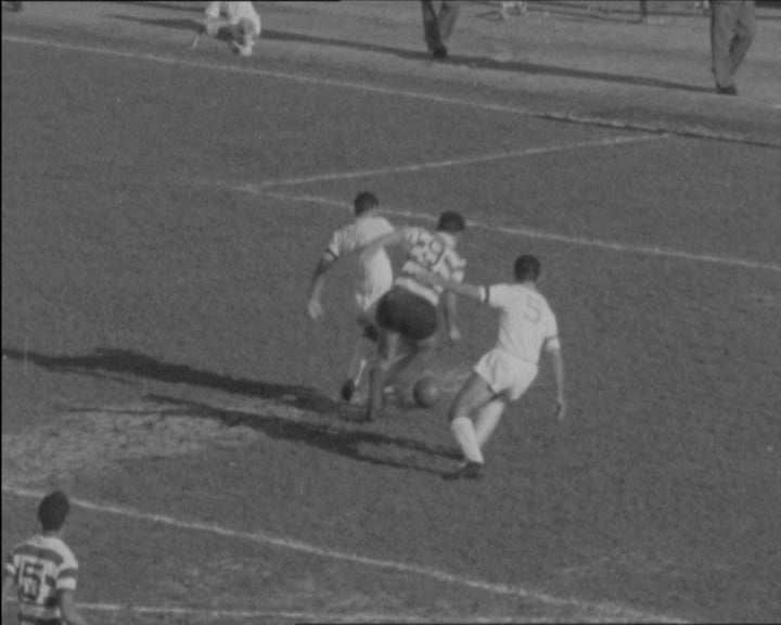 Futebol: Lusitano de Évora vs Sporting