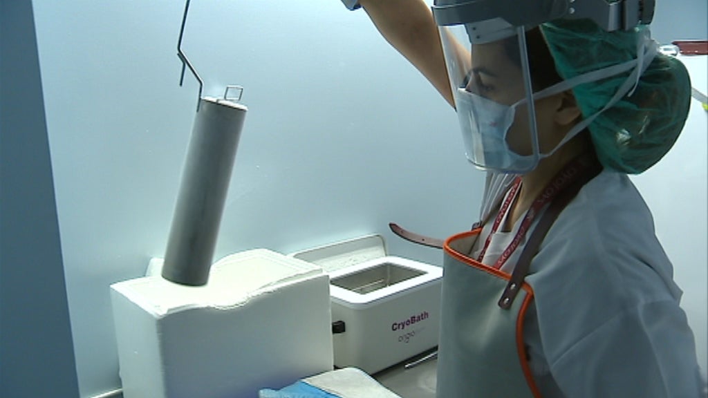 Doação de óvulos e esperma