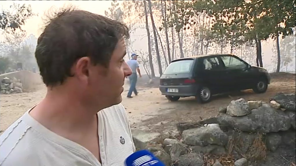Incêndio florestal no concelho de Vale de Cambra