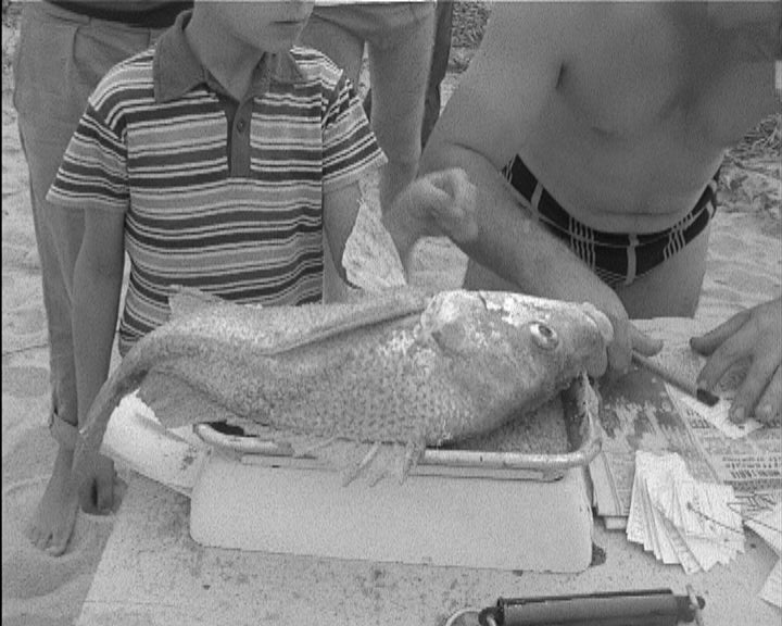 Pesca desportiva em Angola