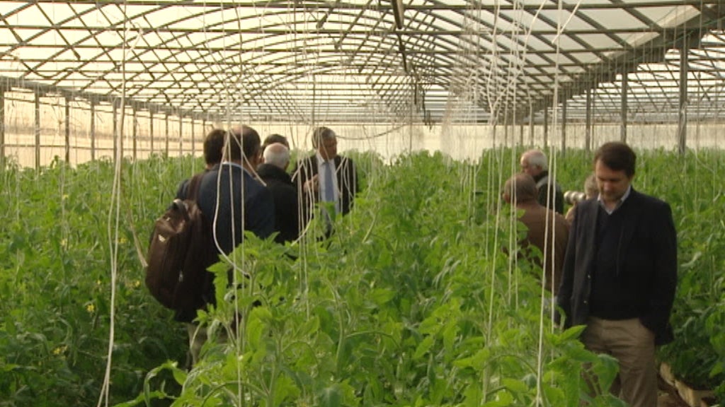 Exploração Horticultura