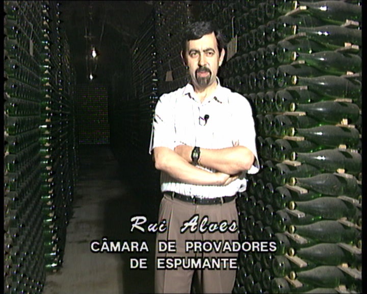 A região demarcada da Bairrada II