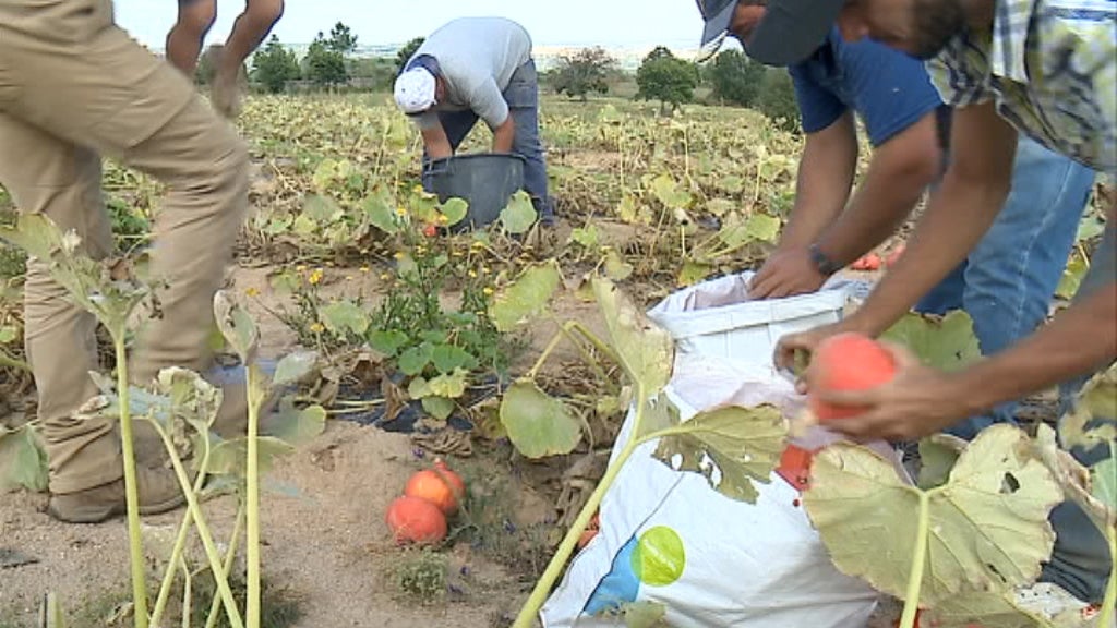 Investimento em Trancoso